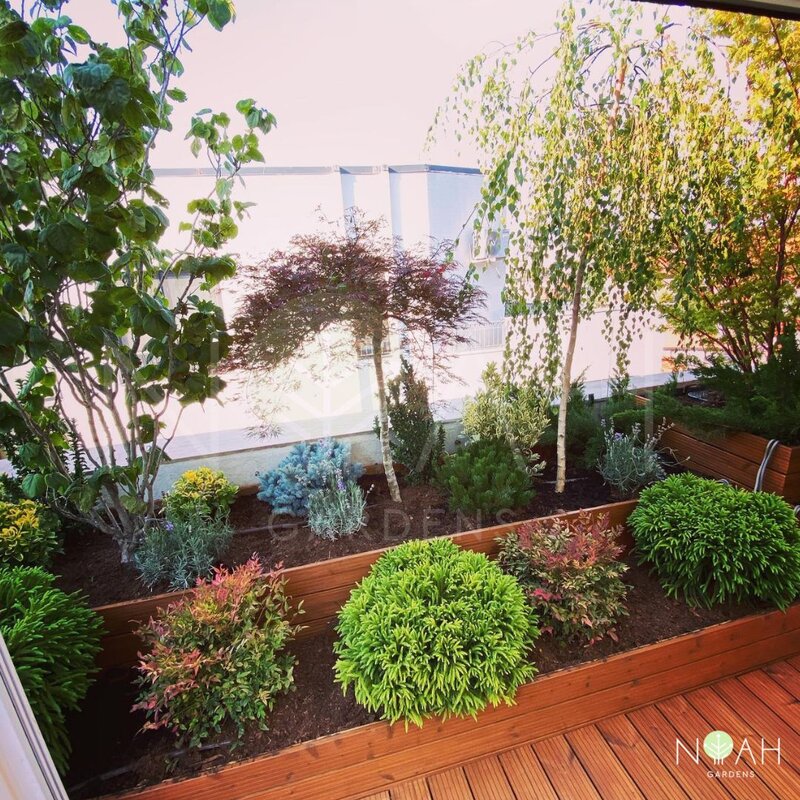 Personal amenajare gradini, gradinar,