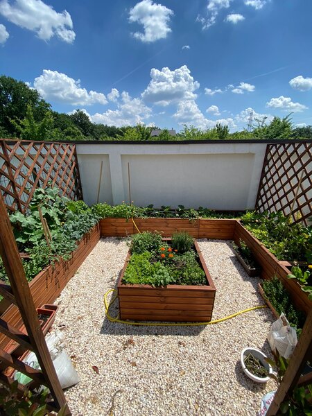 Personal amenajare gradini, gradinar,